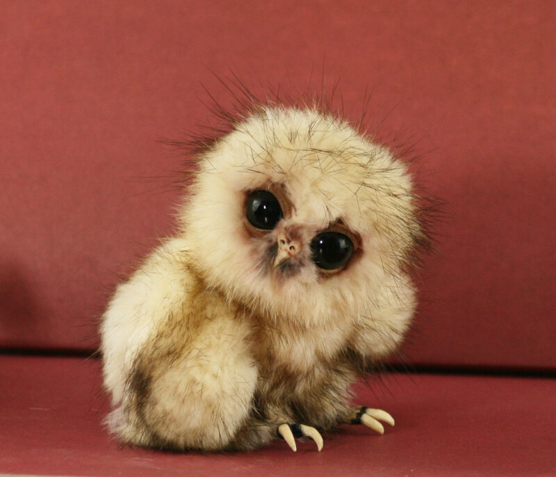 fluffy owl figurine