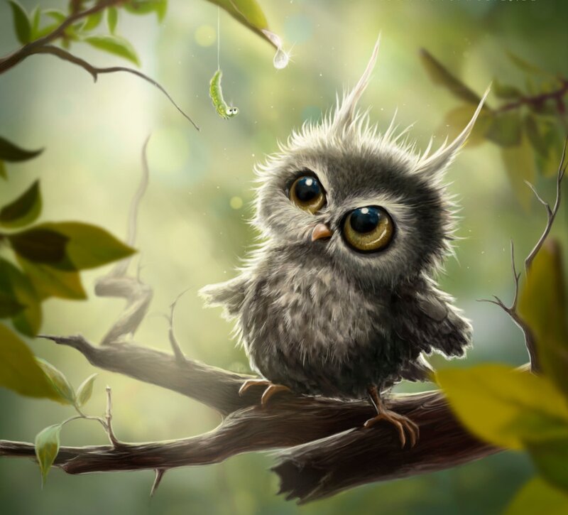 Fluffy Owl on Branch — Gray