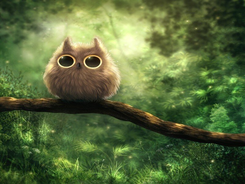 Fluffy Owl on Branch