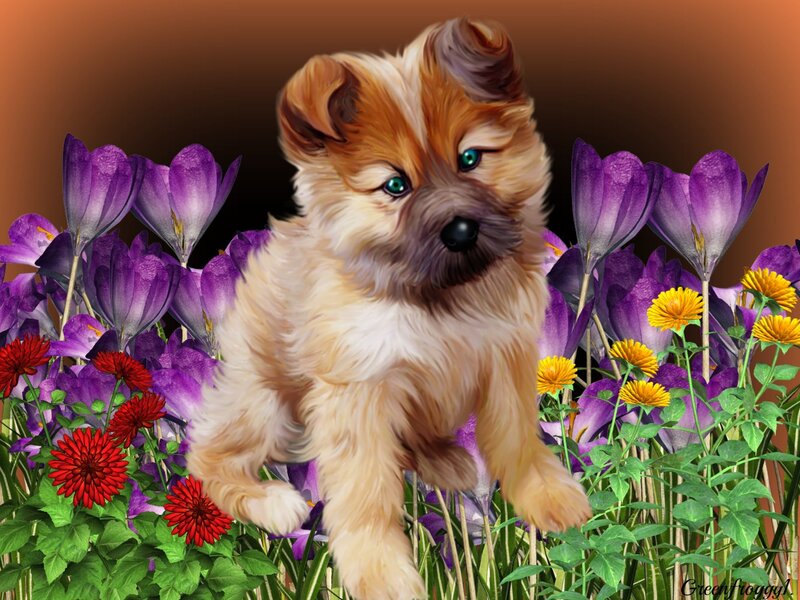 Fluffy Puppy in Flowers