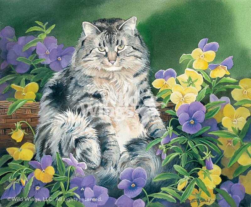 Fluffy Tabby Cat — Green