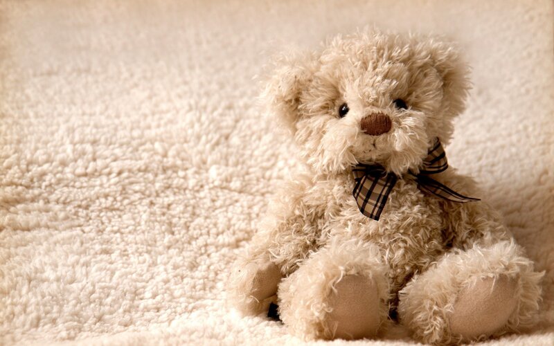 Fluffy Teddy Bear