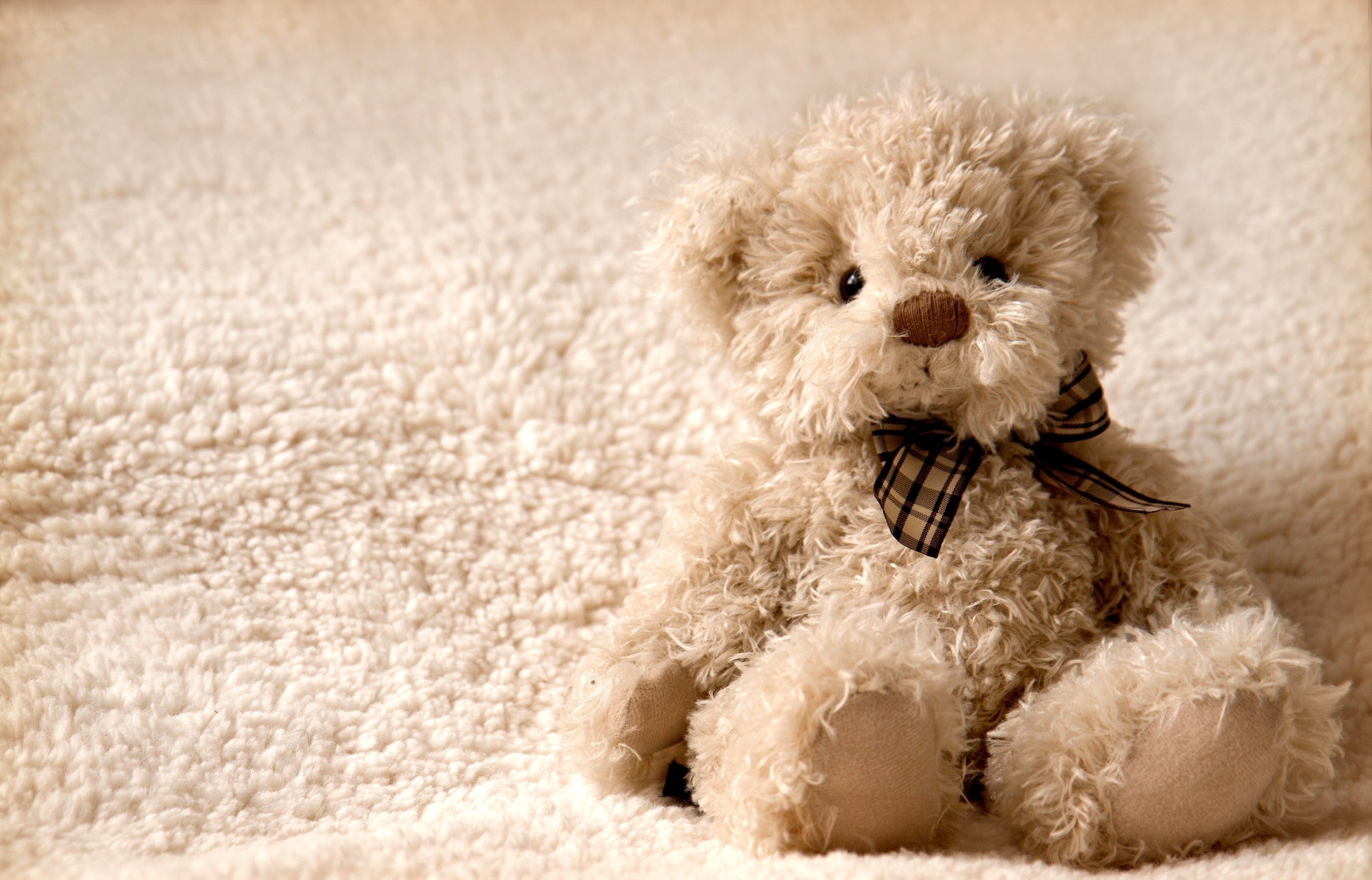 fluffy teddy bear with bow
