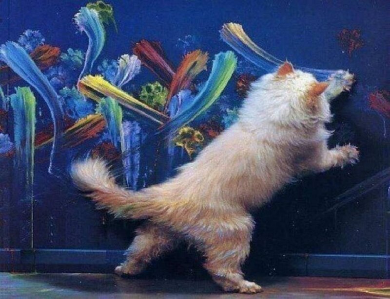 Fluffy White Cat — Blue, Playful