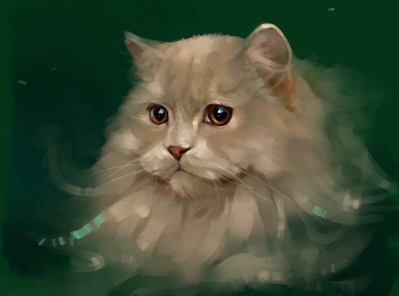 Fluffy White Cat — Calm, Digital Art, Eyes, Whiskers