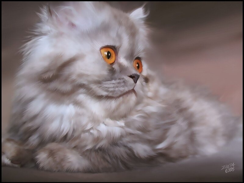 Fluffy White Cat — Calm, Digital Art, Orange Eyes