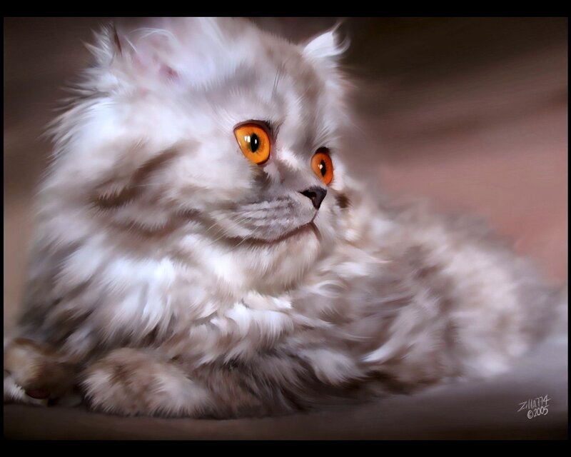 Fluffy White Cat — Calm, Digital Art