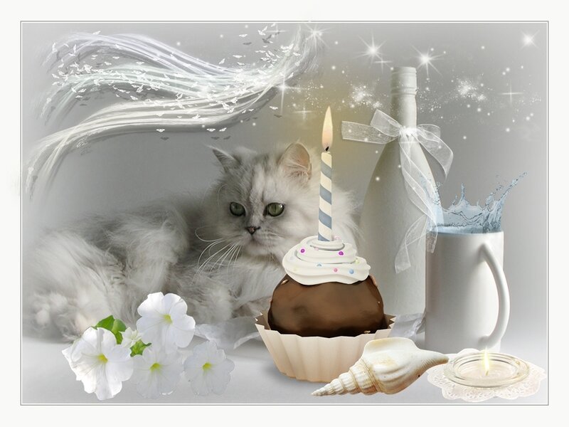 Fluffy White Cat — Celebratory