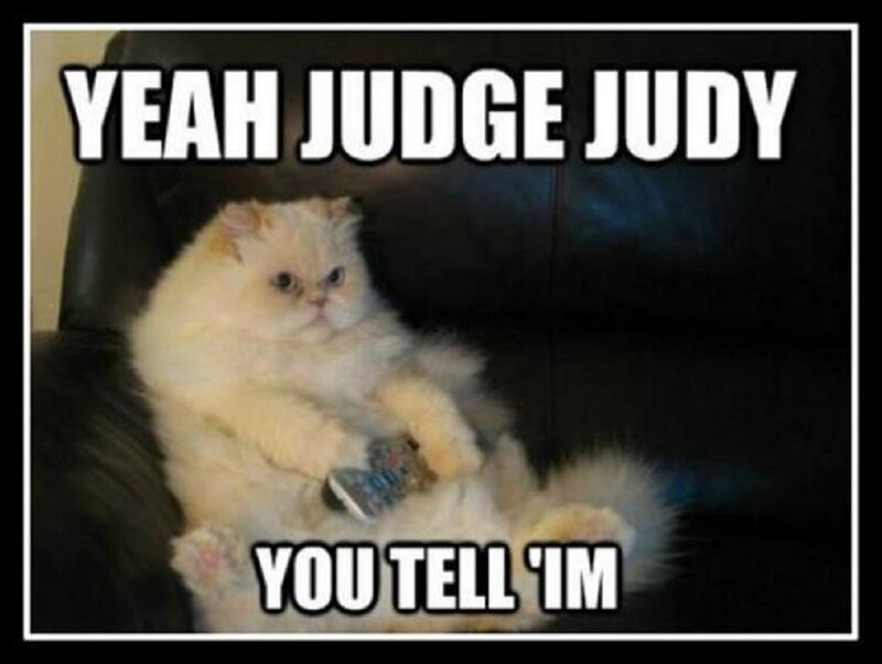 Fluffy White Cat — Comical