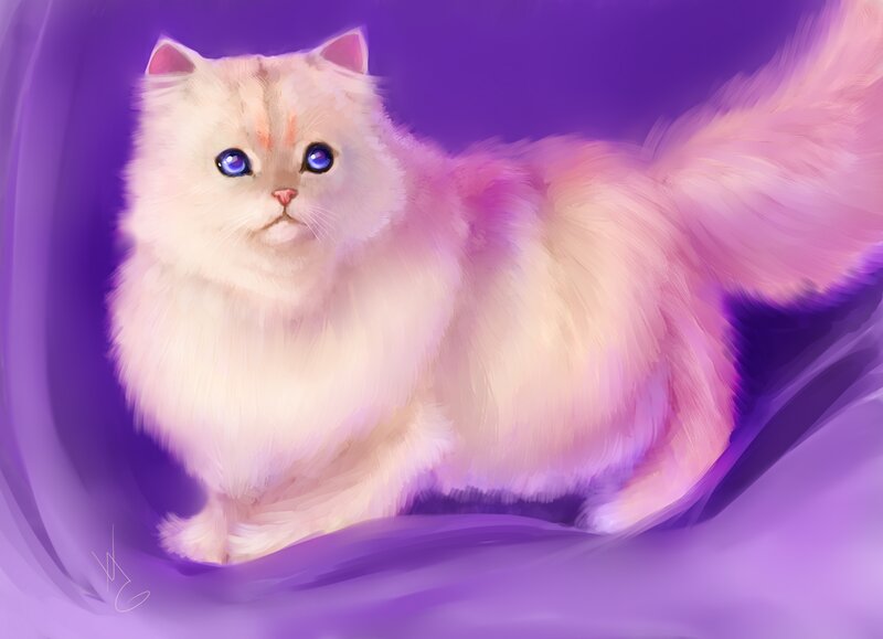 Fluffy White Cat — Purple, Serene, Digital Art