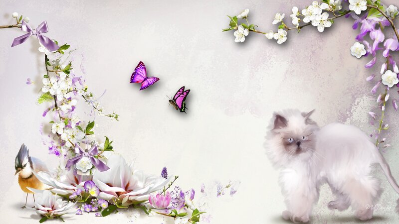 Fluffy White Cat — Serene, Spring