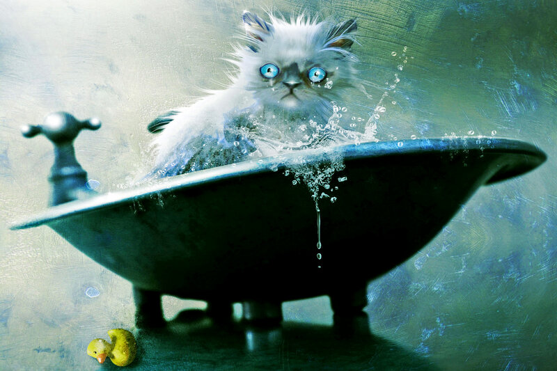 Fluffy White Kitten — Dramatic, Digital Art, Bathtub, Rubber Duck