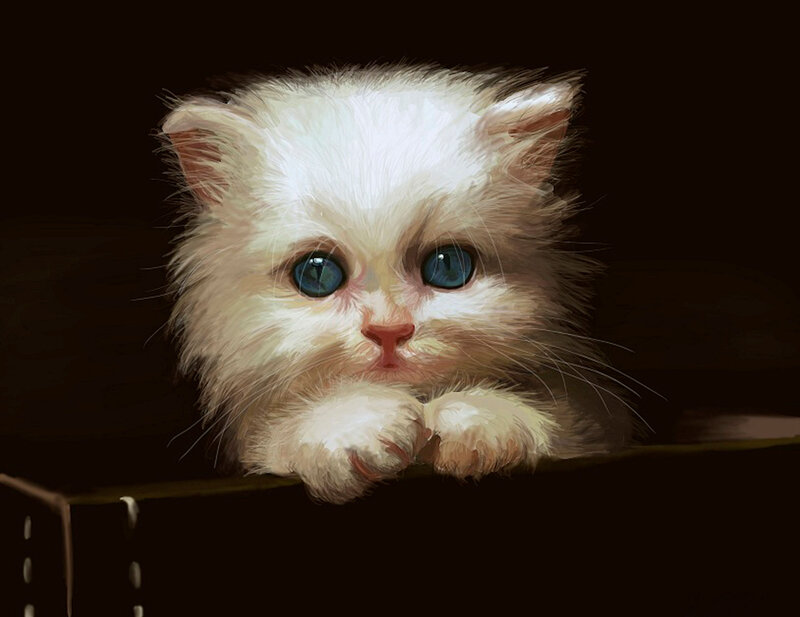 Fluffy White Kitten — Dramatic, Digital Art