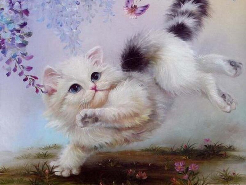 Fluffy White Kitten — Playful, Spring