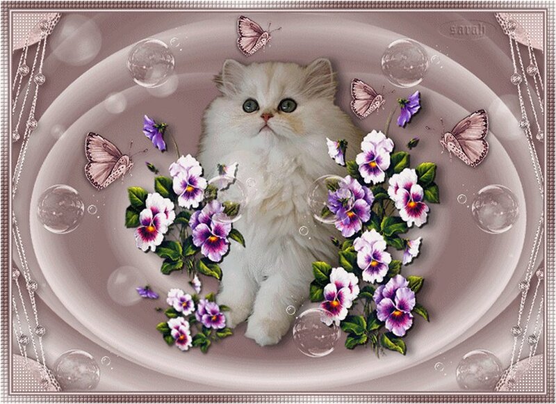 Fluffy White Kitten — Serene, Digital Art