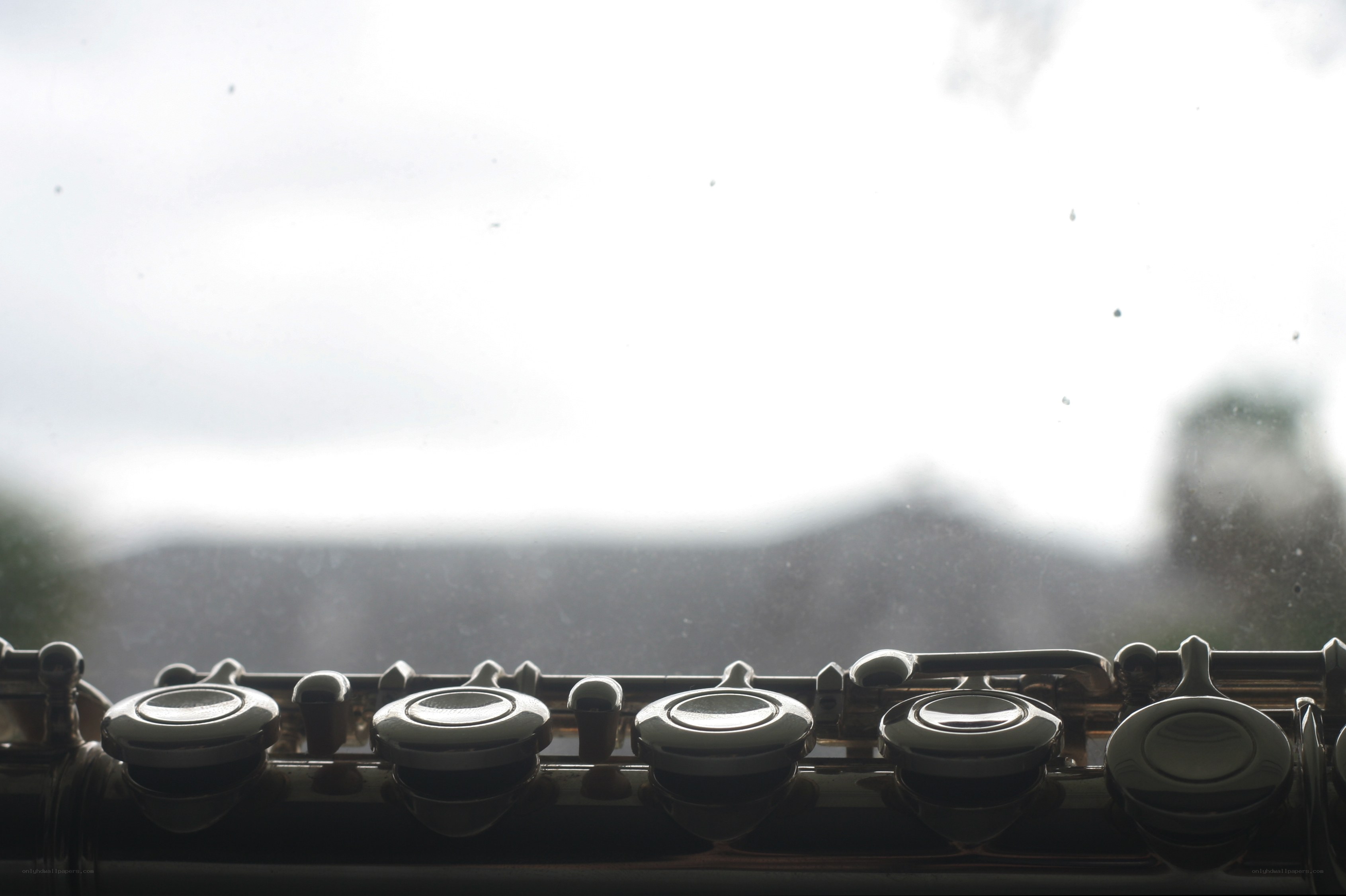 flute keys against a window
