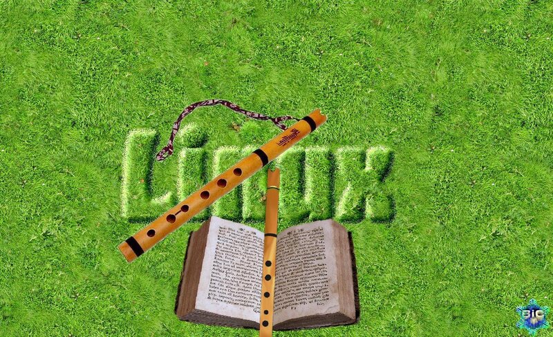 Flutes on Book in Grass