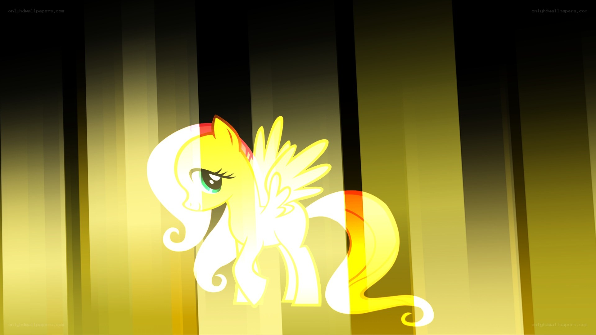 Fluttershy in golden light
