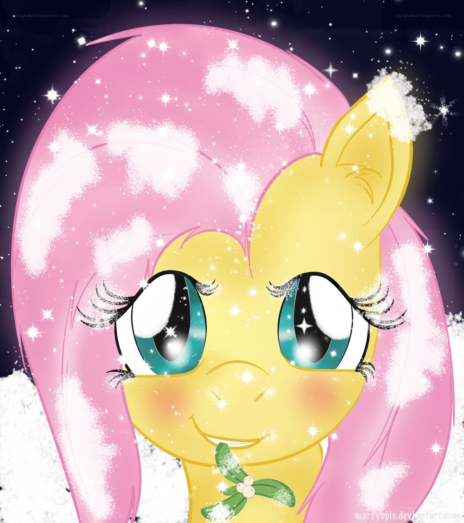 Fluttershy in snowy night