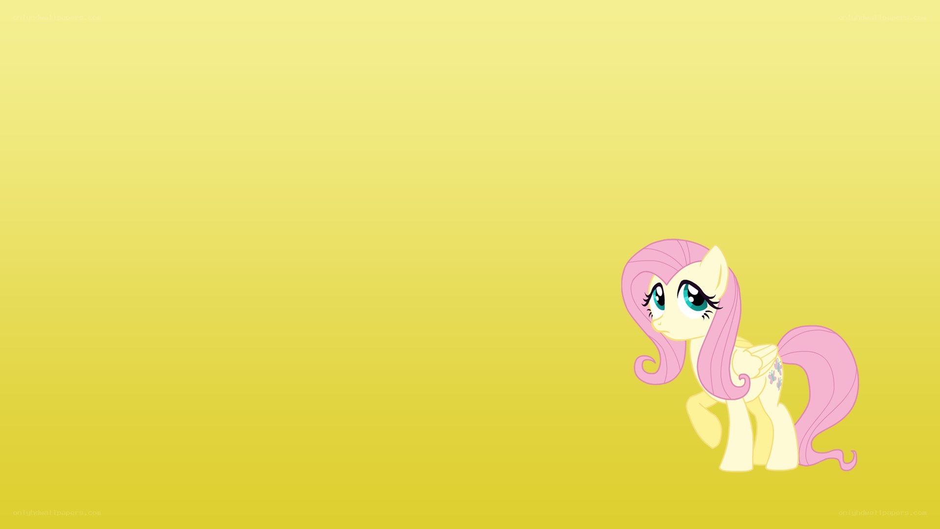 Fluttershy on yellow background