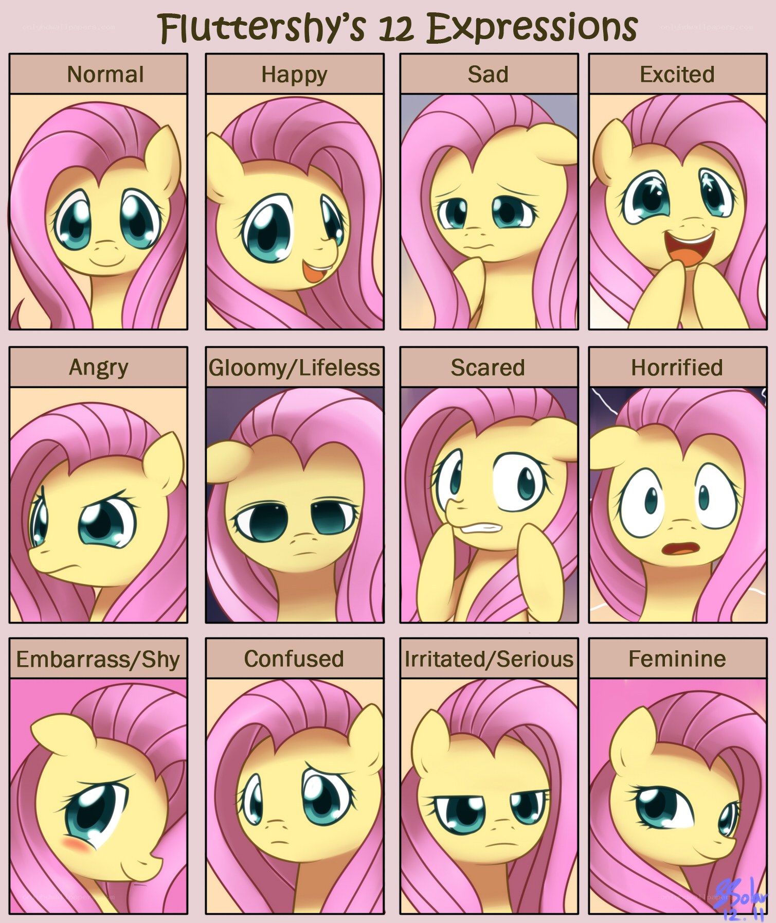 Fluttershy's 12 Expressions