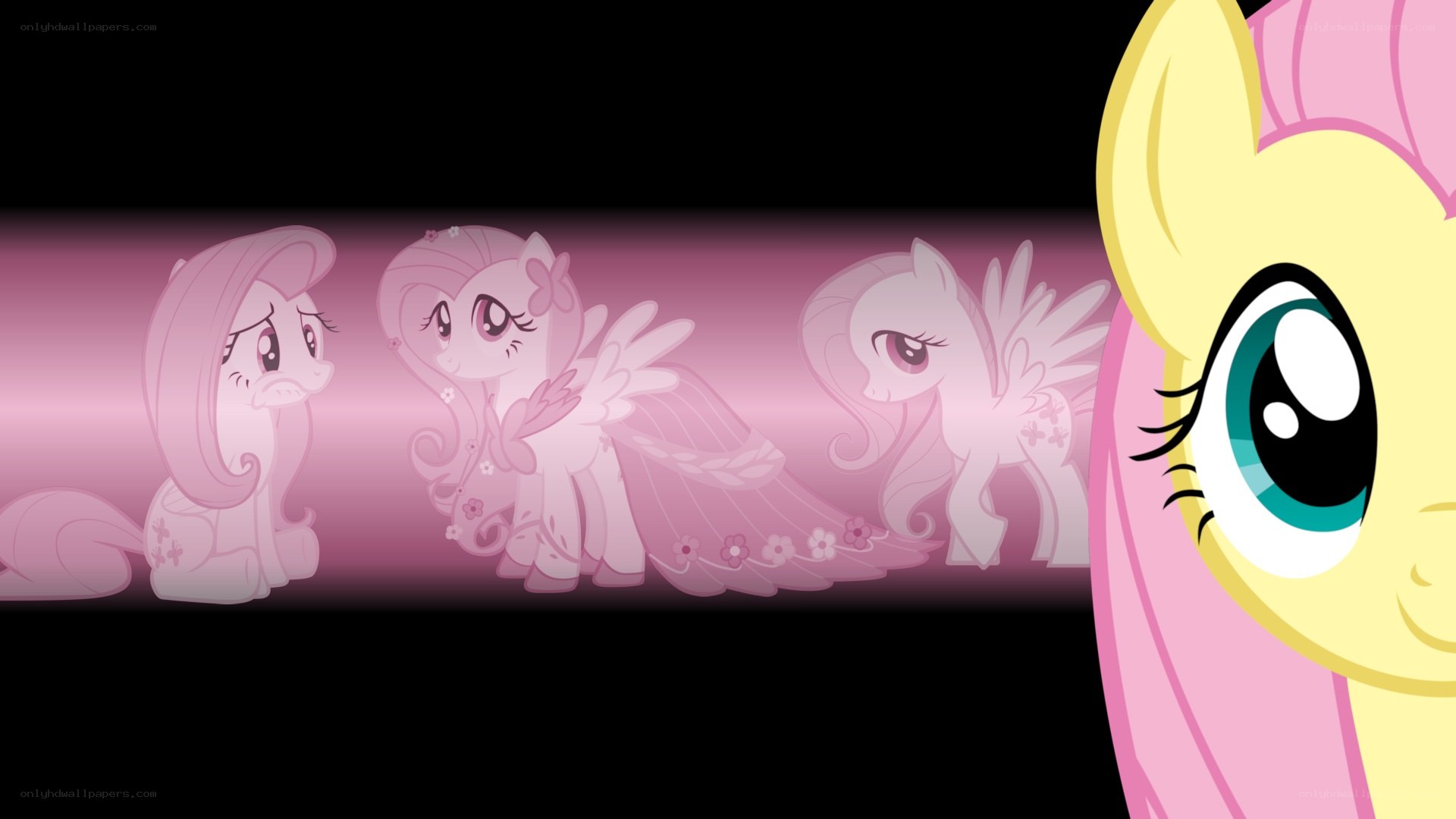 Fluttershy's memories