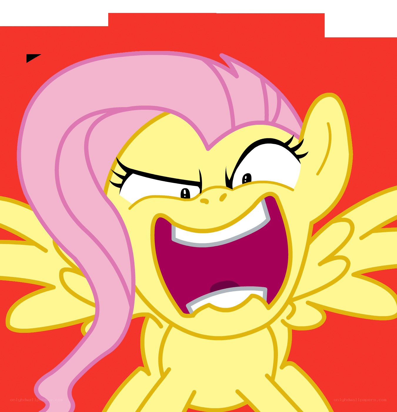 Fluttershy screaming in anger
