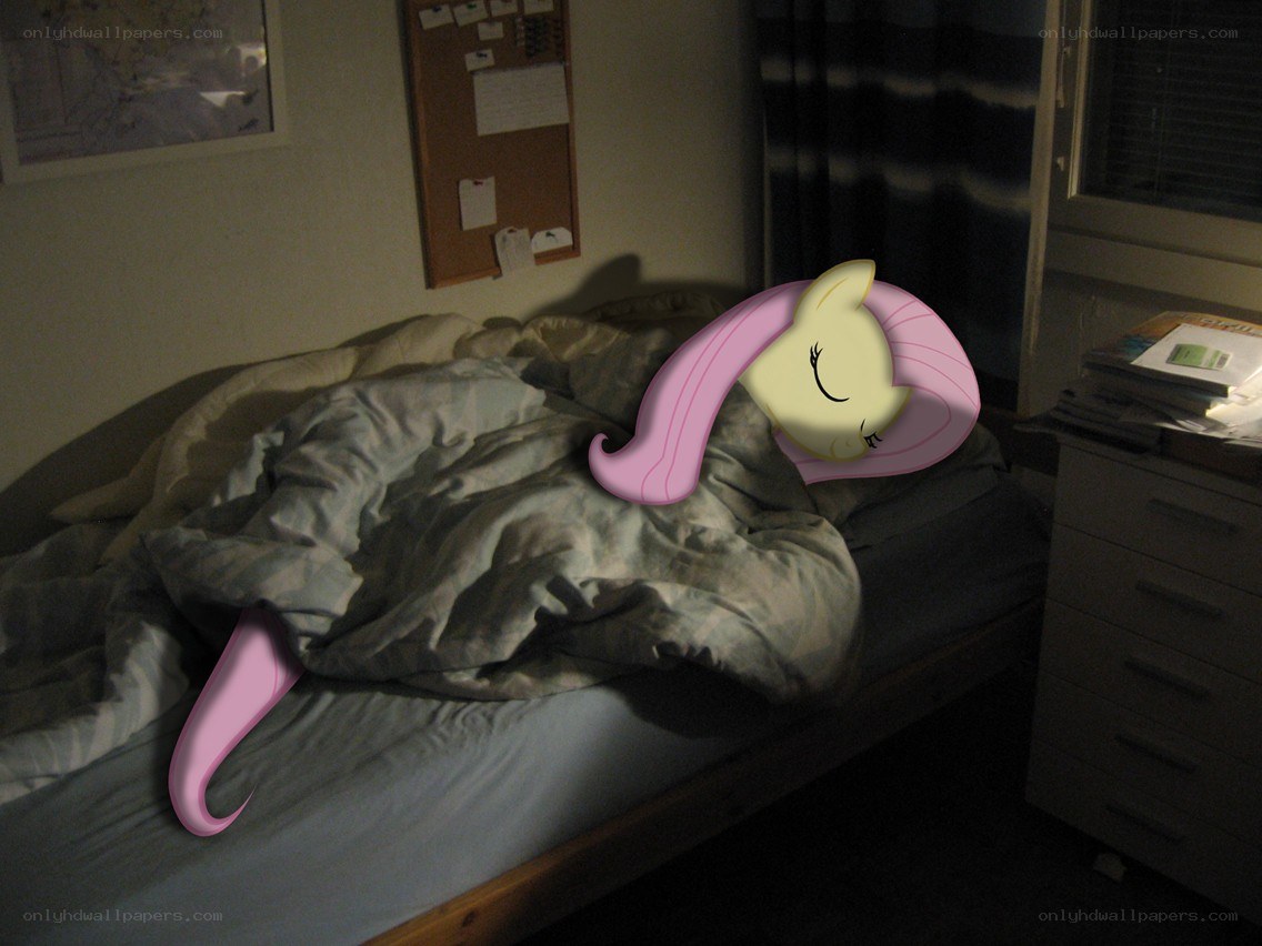 Fluttershy sleeping in bed