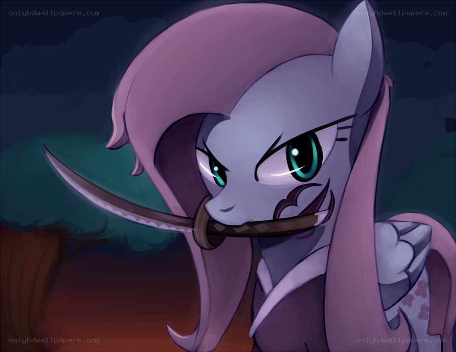 Fluttershy with a sword