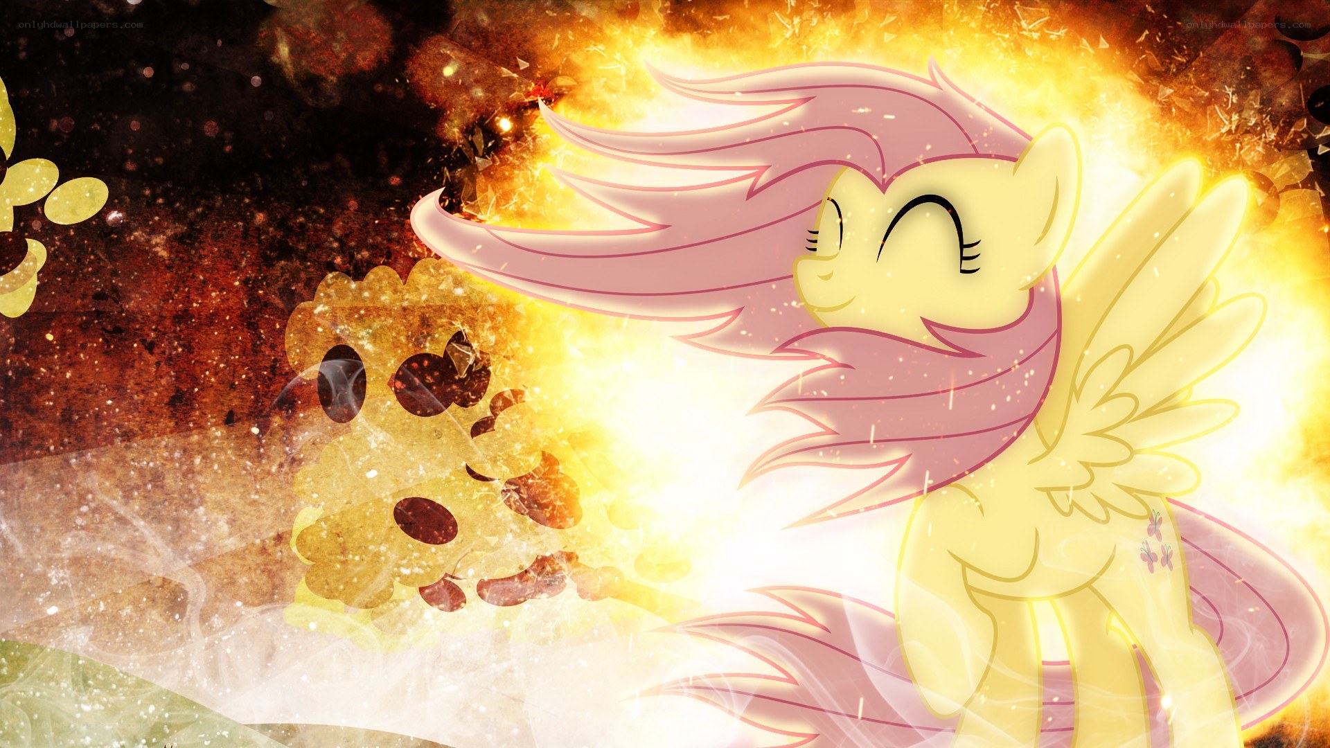 Fluttershy with golden light