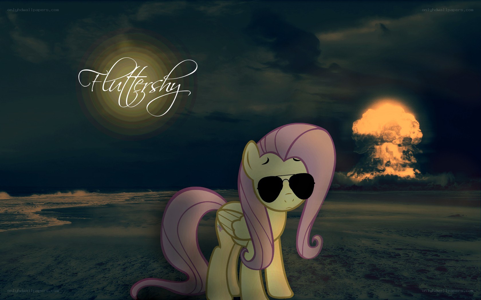 Fluttershy with sunglasses