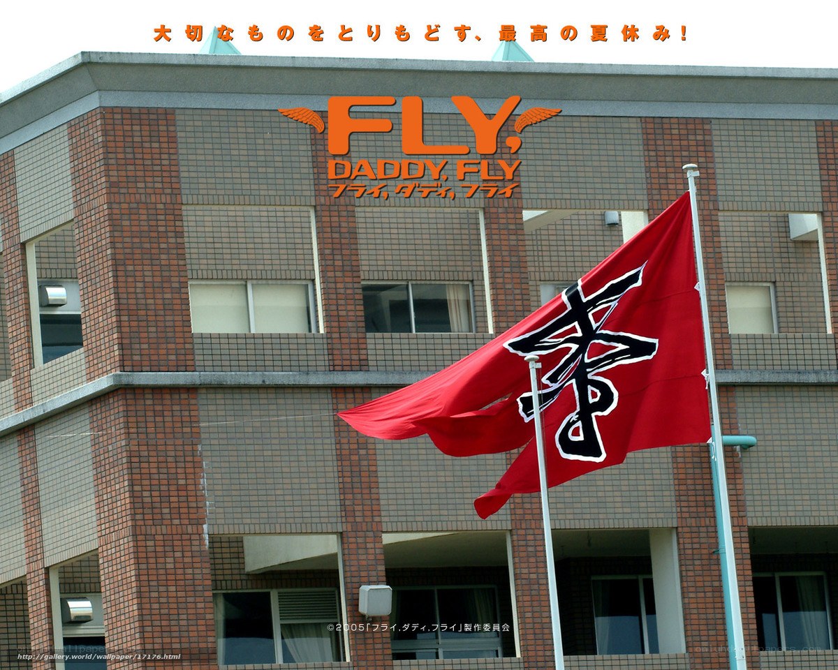 Fly Daddy Fly building