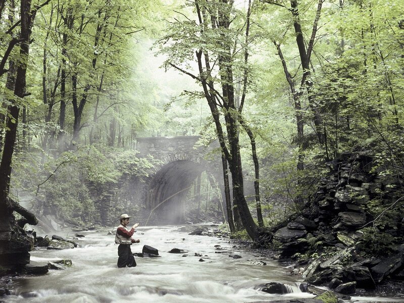 Fly fisherman in a forest stream