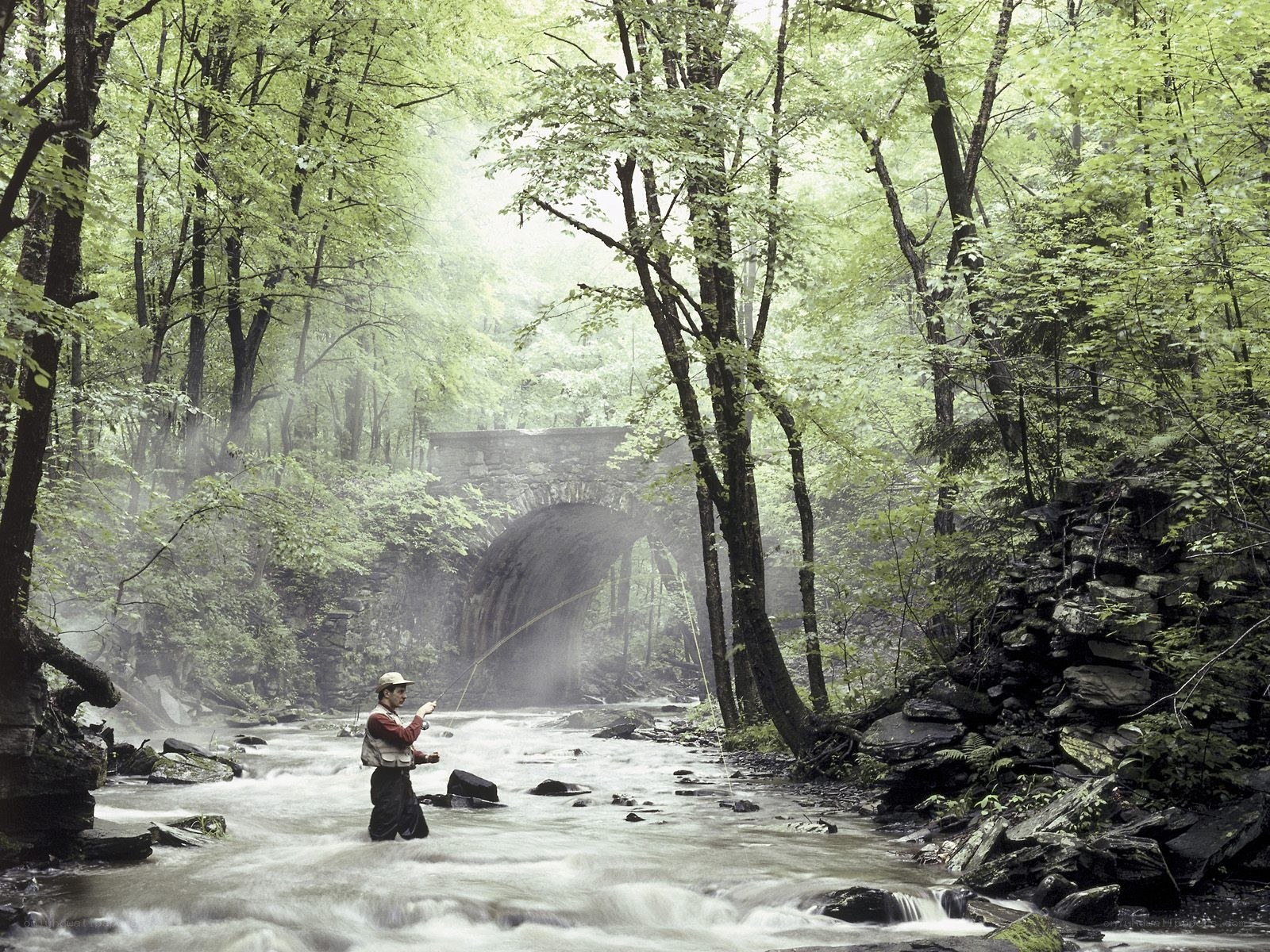 Fly fisherman in a forest stream