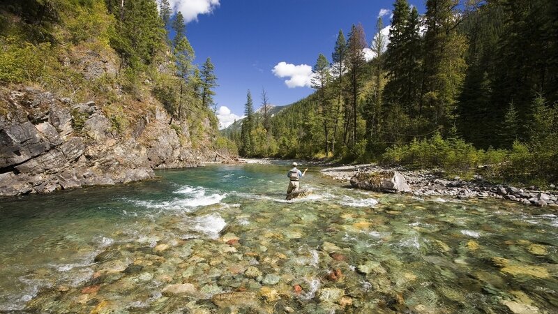 Fly Fisherman in River