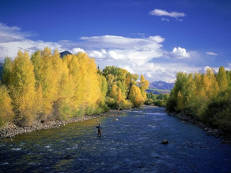 Fly fisherman on a river