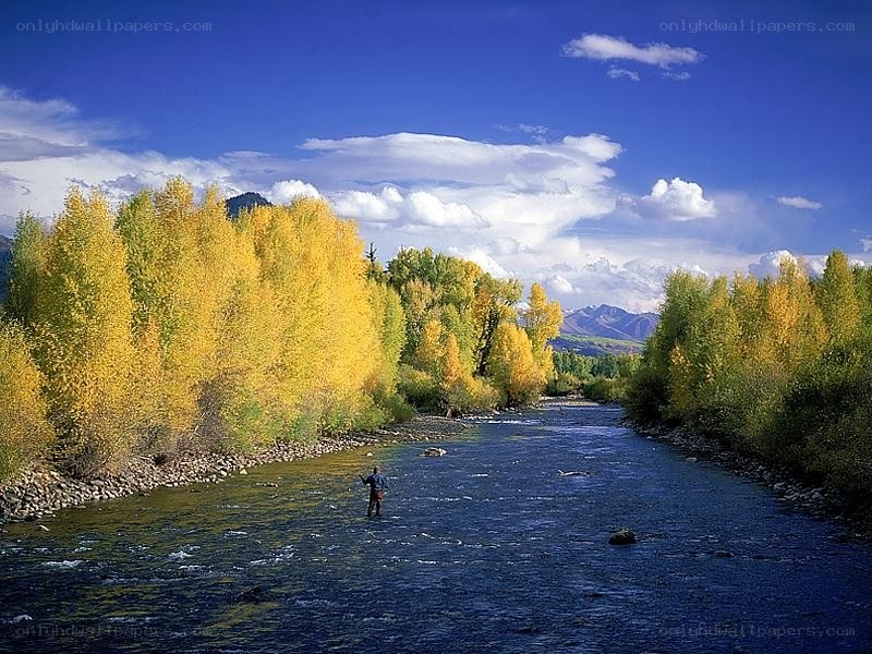 Fly fisherman on a river