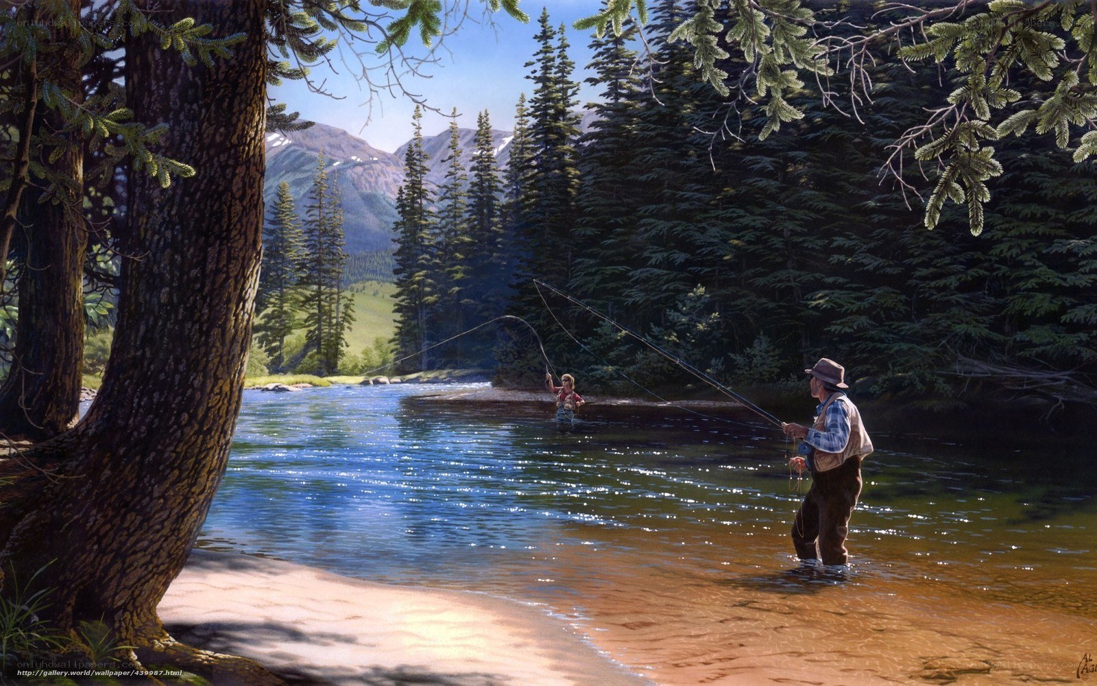 Fly fishing in a mountain stream