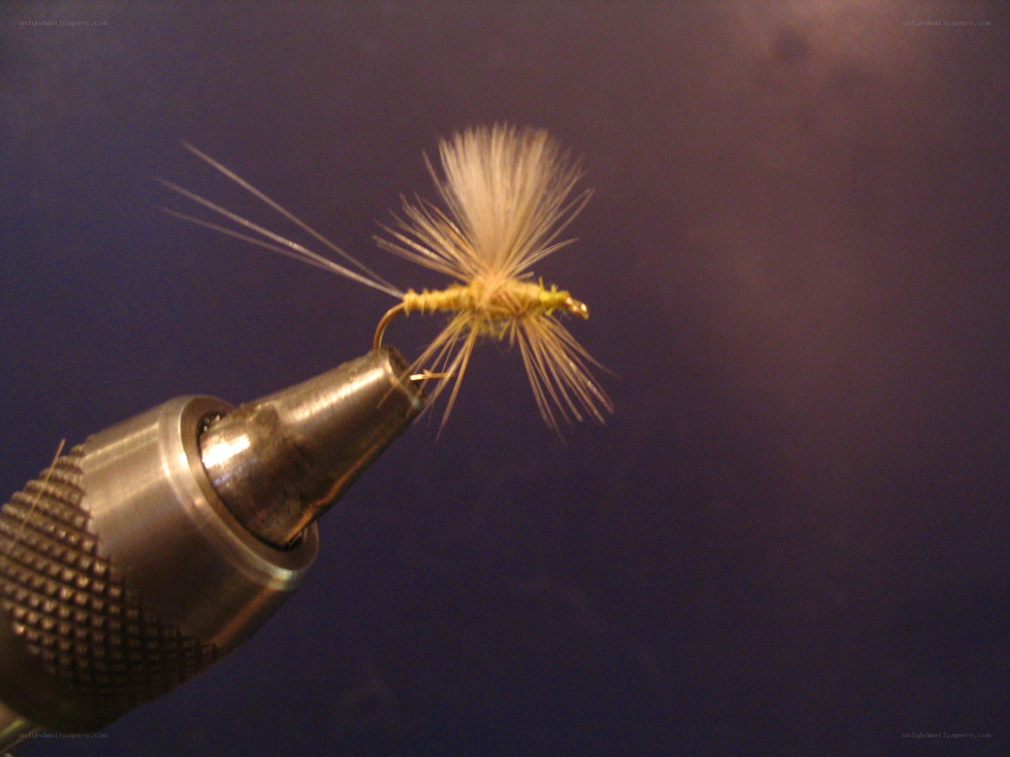 fly fishing lure on a tool