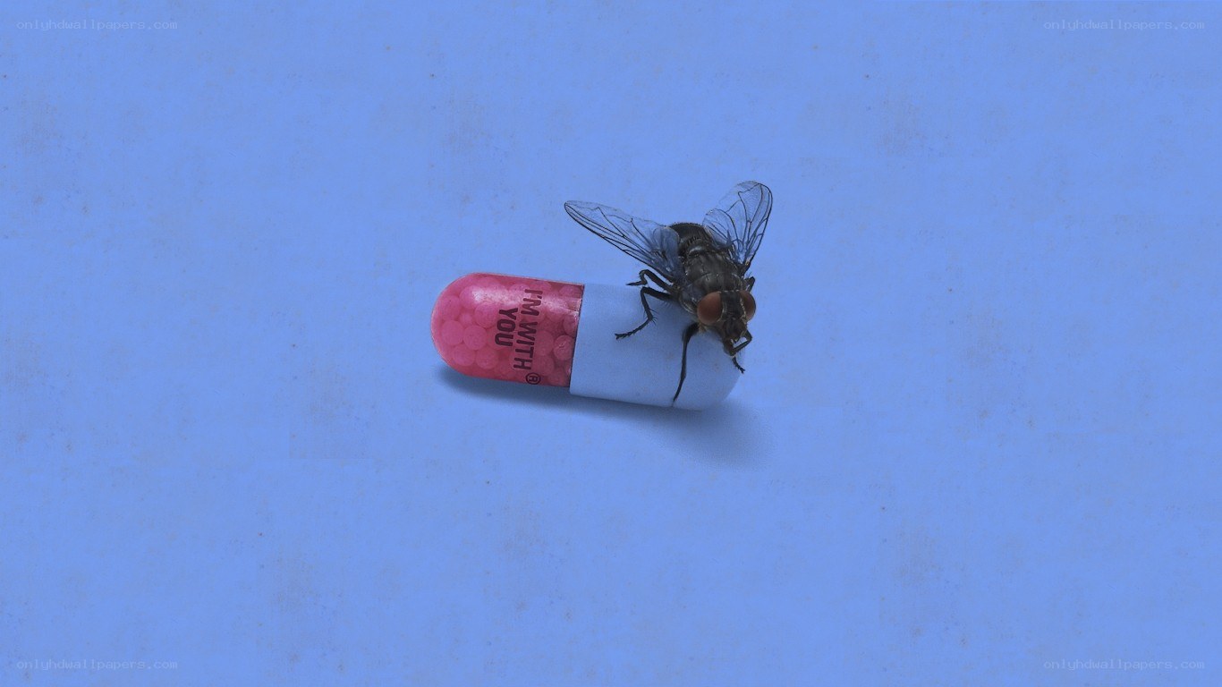 fly on a capsule