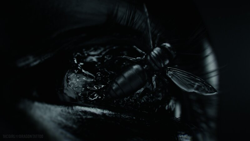 fly on a dark surface
