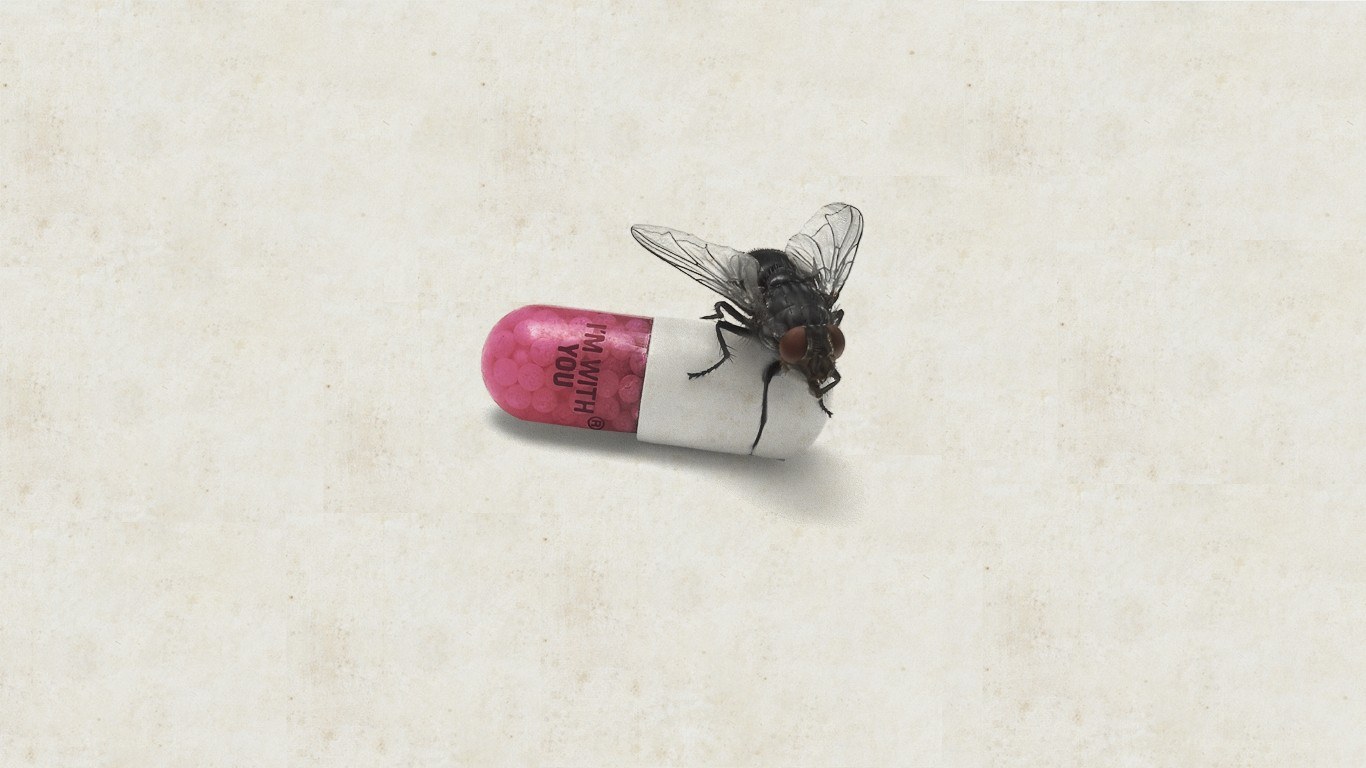 fly on a pill capsule