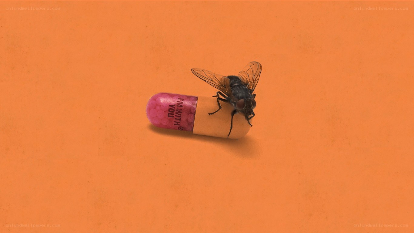 fly on a pill capsule