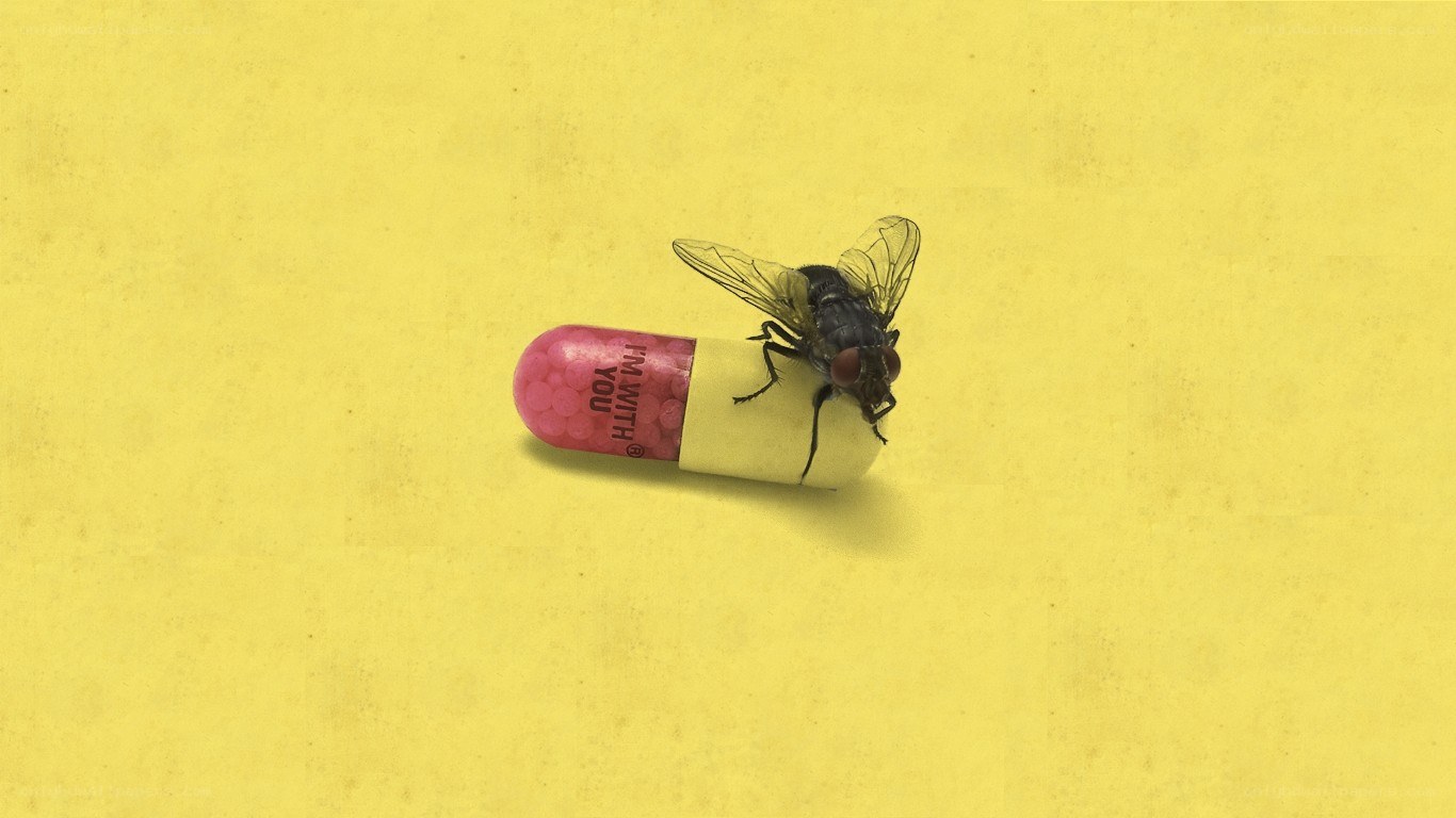 fly on a pill capsule