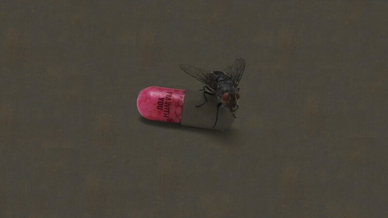 Fly on a pink pill