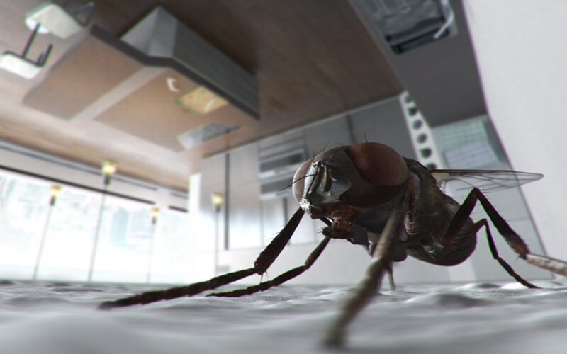 Fly on a Surface — Gray, Dramatic