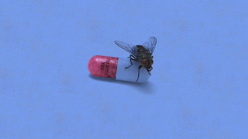 Fly on Capsule — Blue