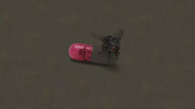 Fly on Capsule — Gray