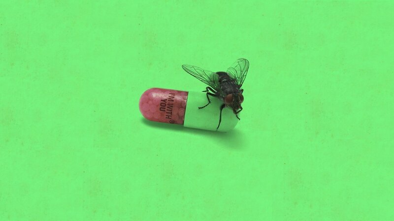 Fly on Capsule — Green, Neutral