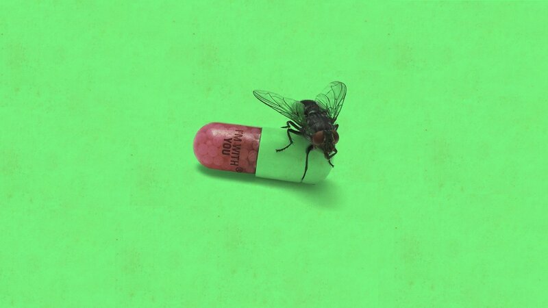 Fly on Capsule — Green